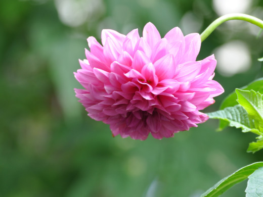 428914 (a): :1600x1200